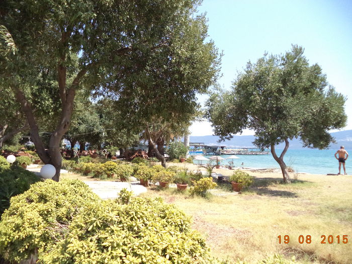 DSC05514 - 2015 TURCIA SOGUCAK DAVUTLAR