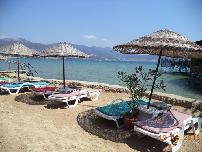 DSC05525 - 2015 TURCIA SOGUCAK DAVUTLAR