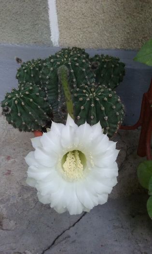 20150901_071256