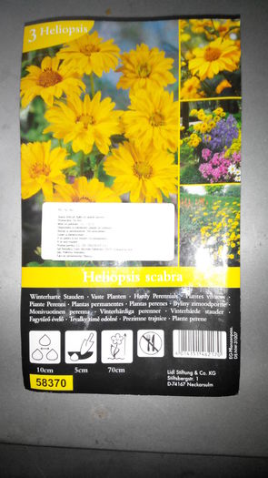 2015405215243 - Heliopsis scabra