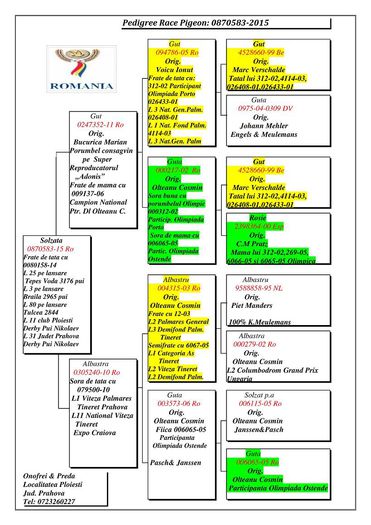 Onofrei-Preda-RO-870583-2015-pedigree - viteza-dmifond