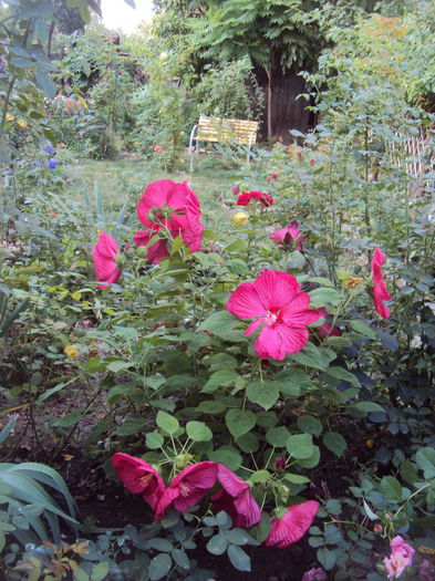 DSC04979