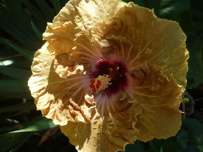 P1230816