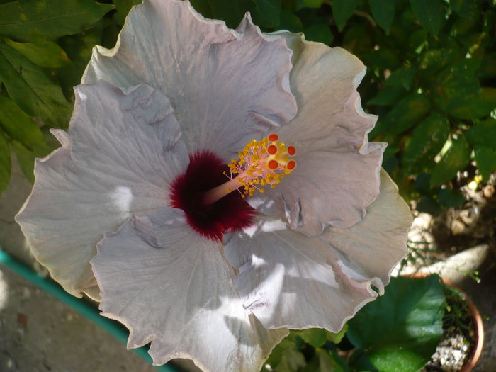 P1230818