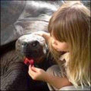 bindi irwin (137) - bindi fetita junglei