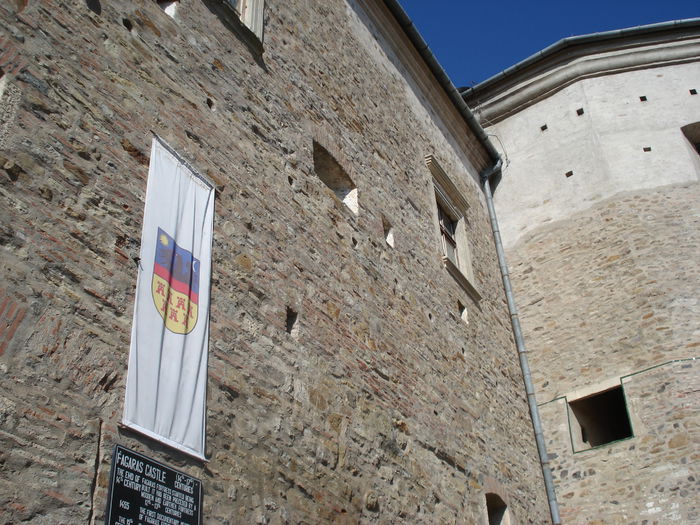 DSC07826