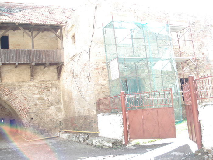 DSC07847