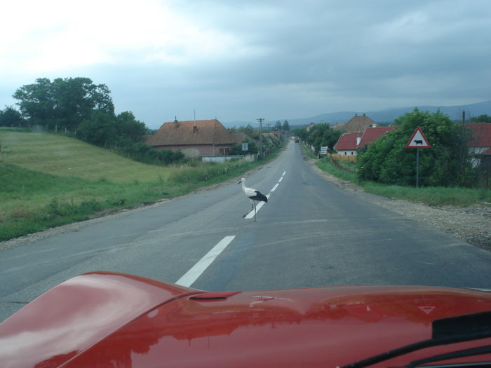 DSC04753 - Brasov Classic Rally 2008