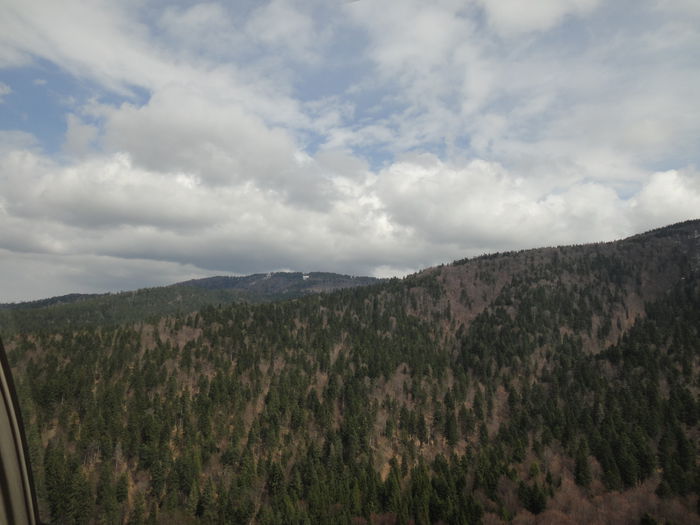 DSC03267 - In zbor 2013
