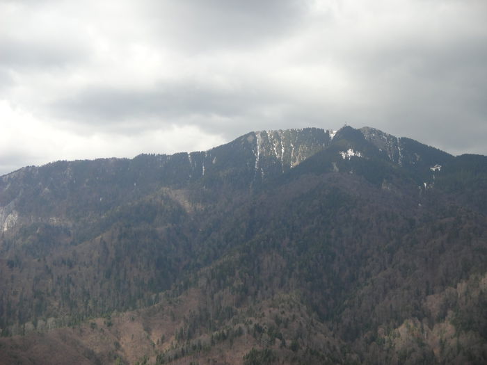DSC03279 - In zbor 2013