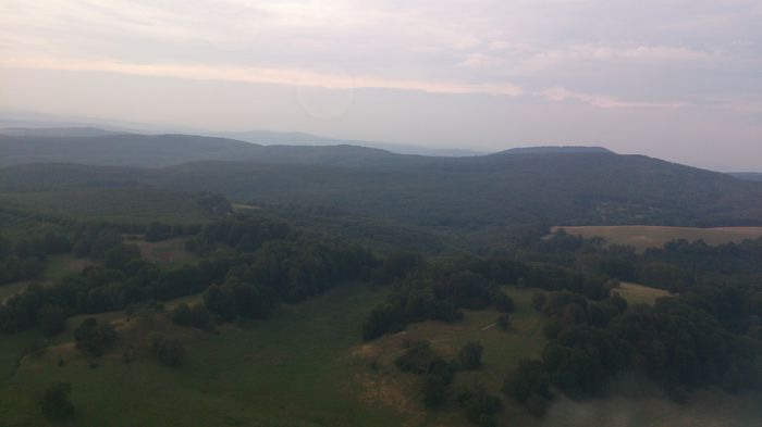 Padurea Bogatii - In zbor 2014