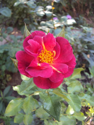 DSC05753