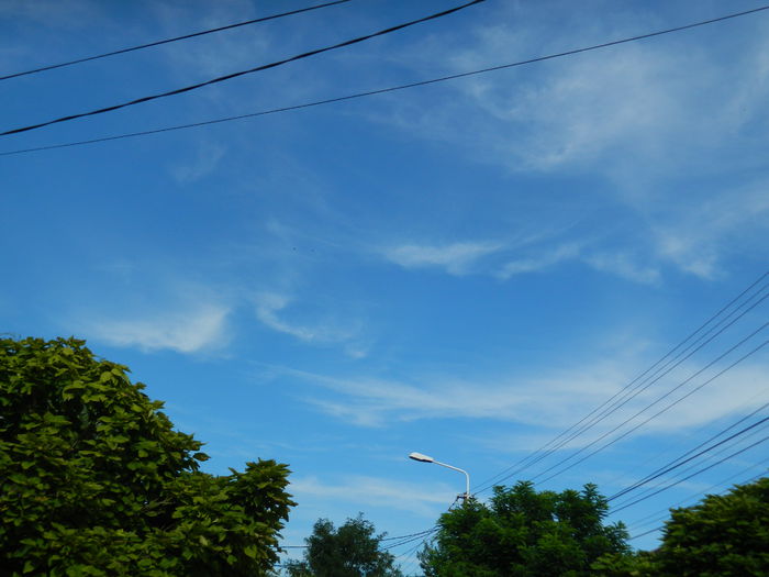DSCN6735