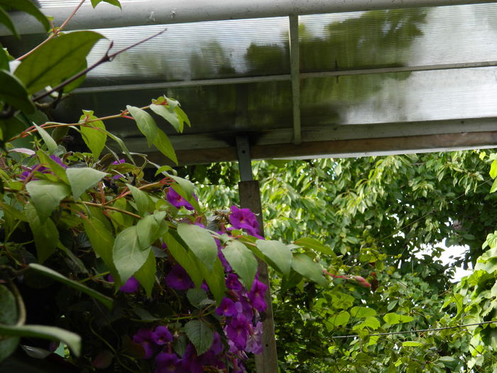 DSCN6751 - 2015_SEPTEMBRIE