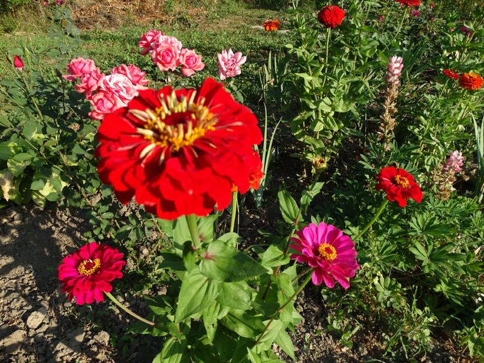 DSC00156