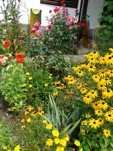 DSC00209