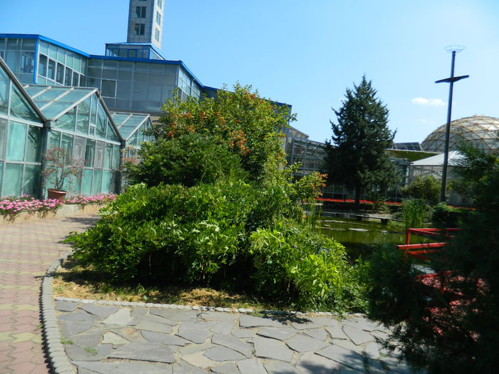 DSCN5967 - 2015_GRADINA BOTANICA JIBOU