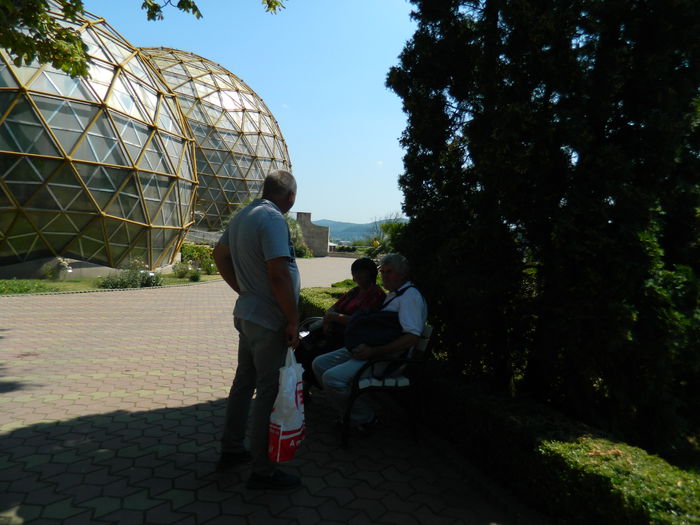 DSCN5973 - 2015_GRADINA BOTANICA JIBOU