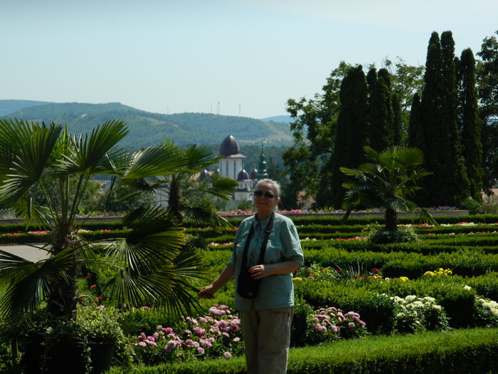 DSCN5975 - 2015_GRADINA BOTANICA JIBOU