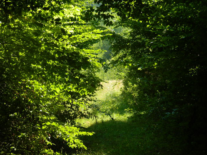 DSCN4677 - 2015_MARCA_1