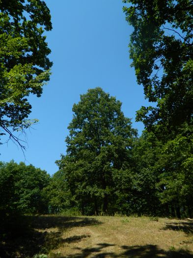 DSCN4678 - 2015_MARCA_1