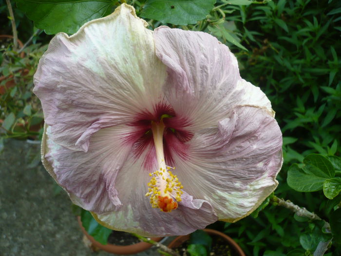 P1230848