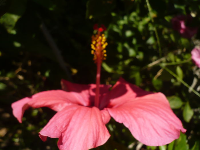 P1230849