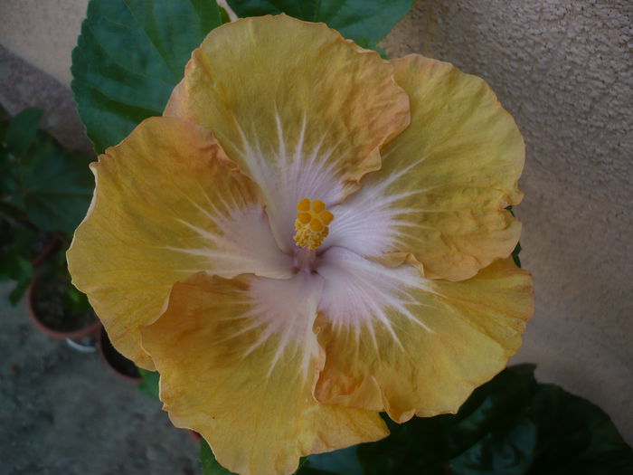 P1230853