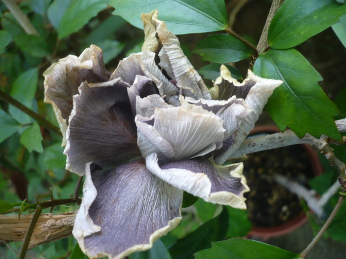 P1230858
