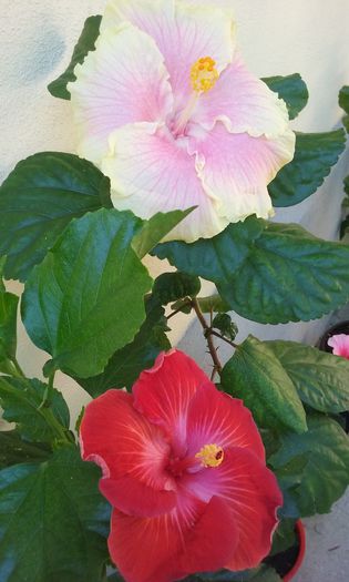 20150903_112804