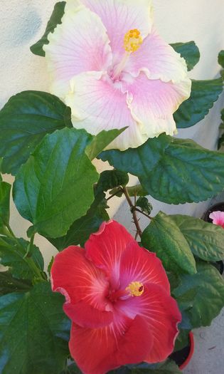 20150903_112805