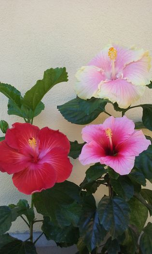 20150903_112824