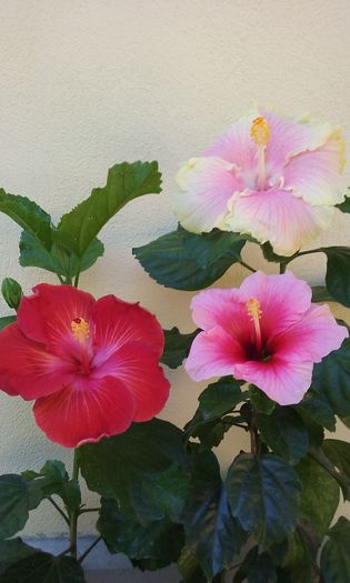 20150903_112826