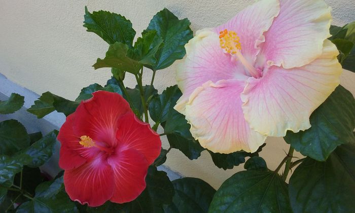 20150903_112751