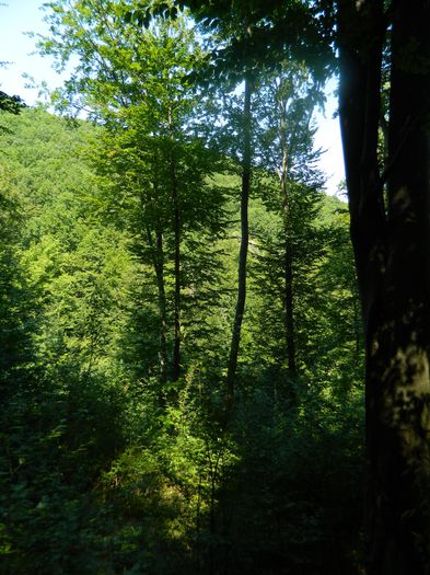 DSCN4685 - 2015_MARCA_1