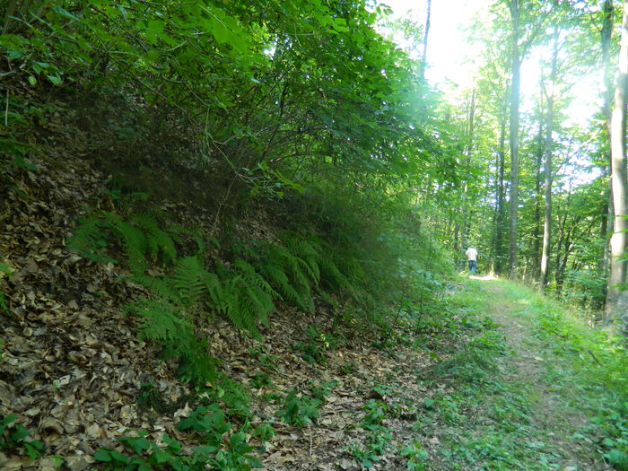 DSCN4690 - 2015_MARCA_1