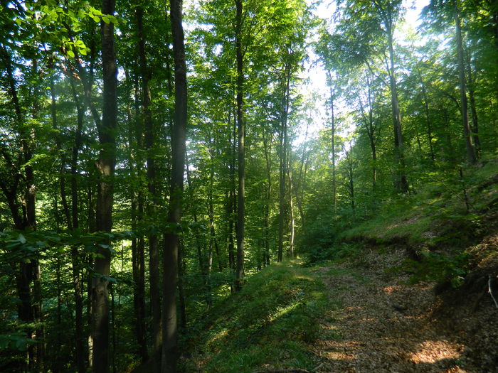 DSCN4695 - 2015_MARCA_1