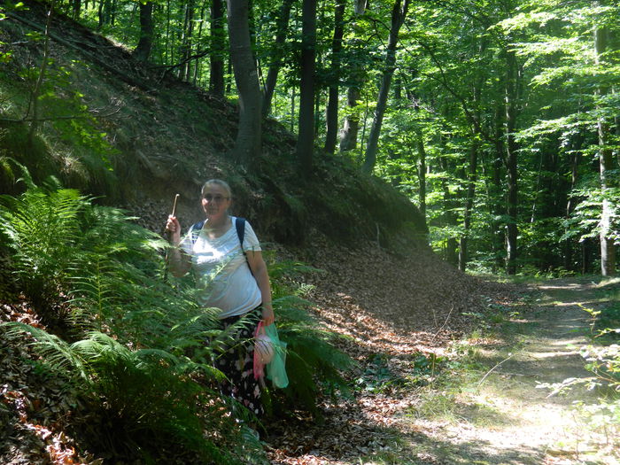 DSCN4696 - 2015_MARCA_1