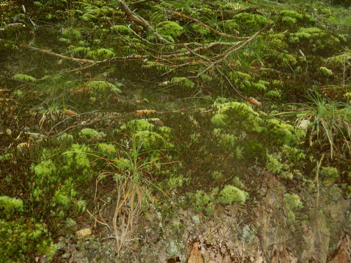 DSCN4701 - 2015_MARCA_1