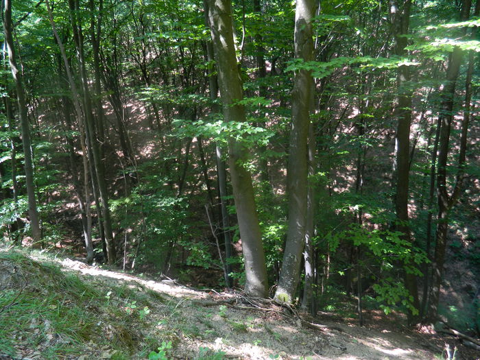 DSCN4702 - 2015_MARCA_1