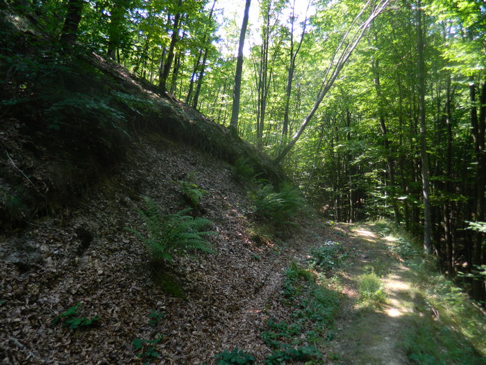 DSCN4705 - 2015_MARCA_1