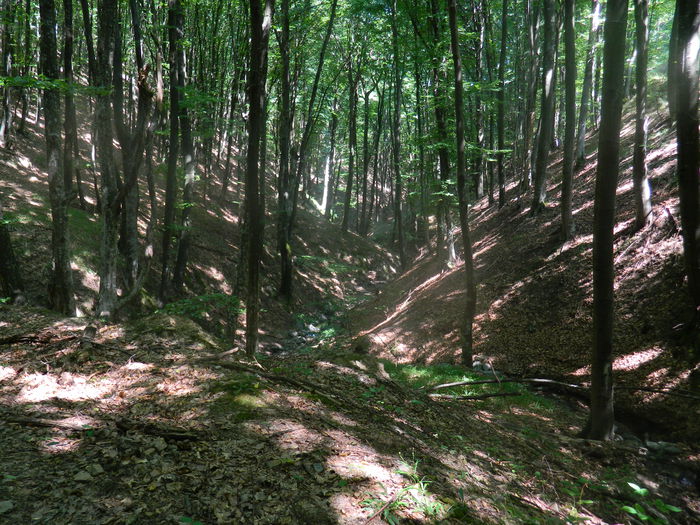 DSCN4708 - 2015_MARCA_1