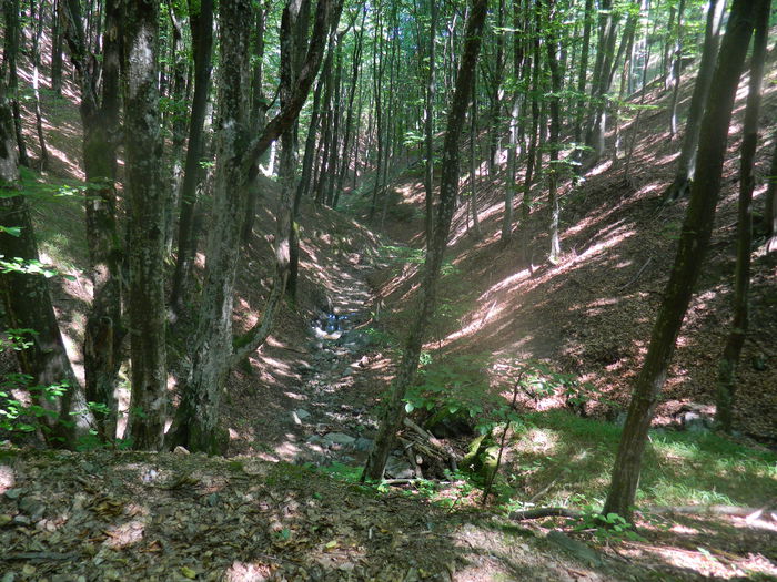 DSCN4709 - 2015_MARCA_1