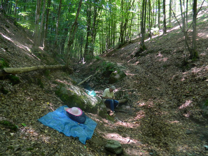 DSCN4716 - 2015_MARCA_1