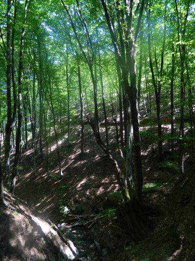DSCN4717 - 2015_MARCA_1