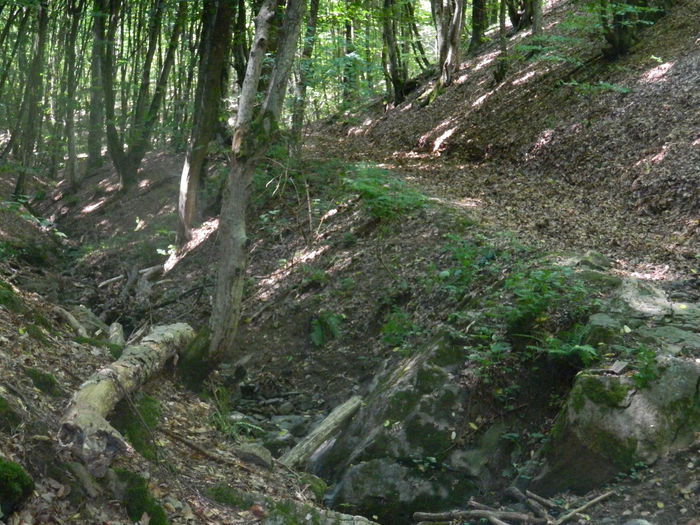 DSCN4718 - 2015_MARCA_1