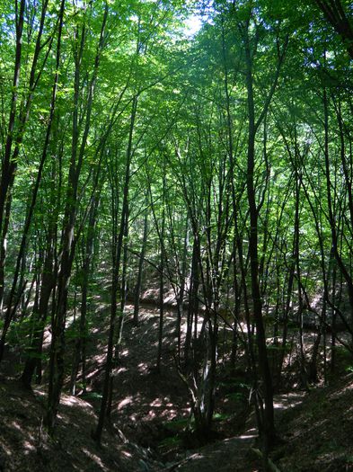 DSCN4723 - 2015_MARCA_1