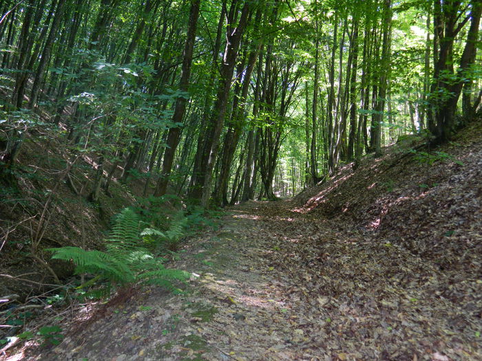 DSCN4725 - 2015_MARCA_1