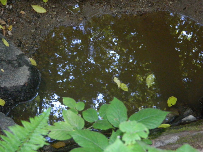 DSCN4727 - 2015_MARCA_1