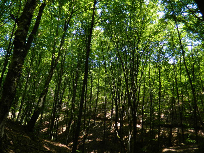 DSCN4733 - 2015_MARCA_1